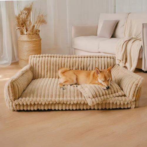 Chien confortablement installé sur le canapé-lit
