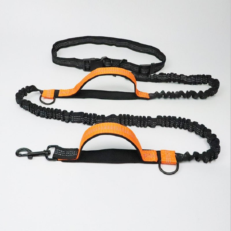 Ceinture de course mains libres pour chien 