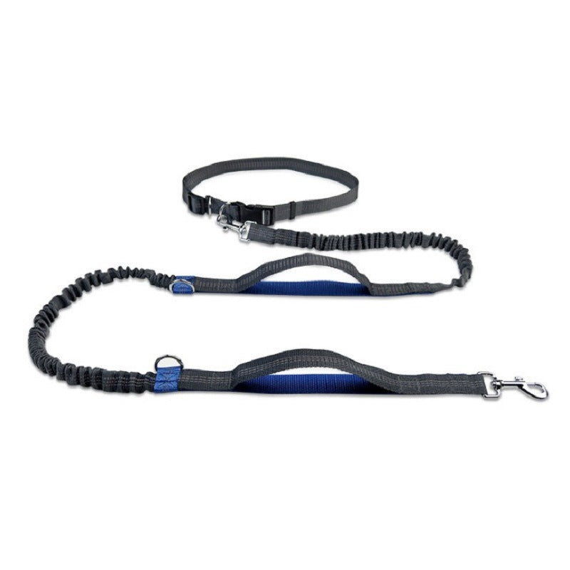 Ceinture de course mains libres pour chien - vue d'ensemble