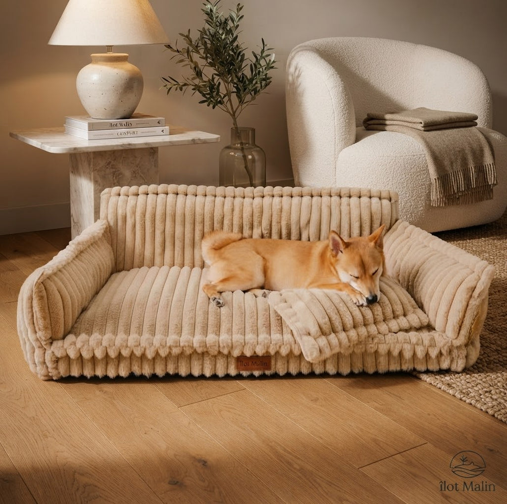 Chien confortablement installé sur le canapé-lit