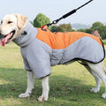 Chien portant le manteau d'hiver en extérieur