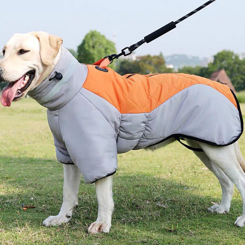 Chien portant le manteau d'hiver en extérieur