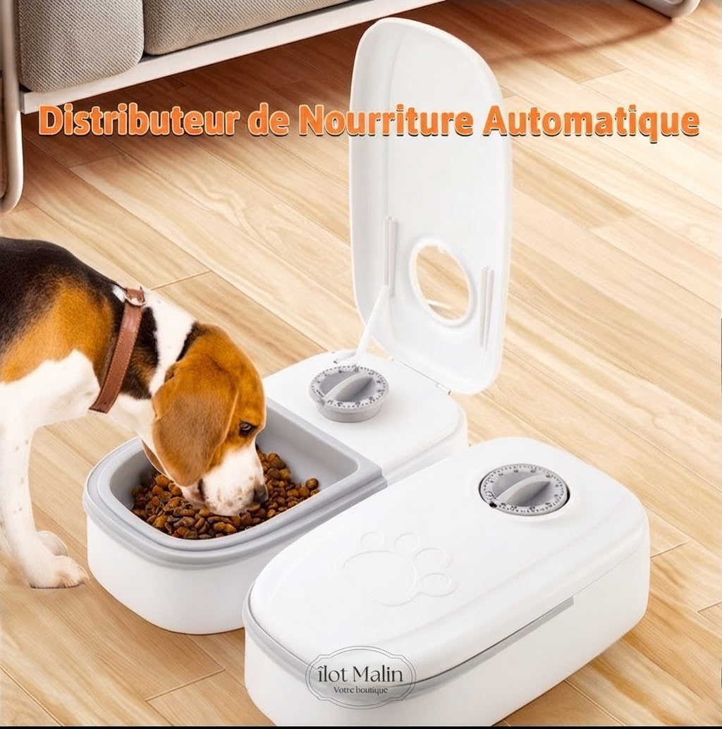 Distributeur automatique de croquettes 2-en-1 pour animal