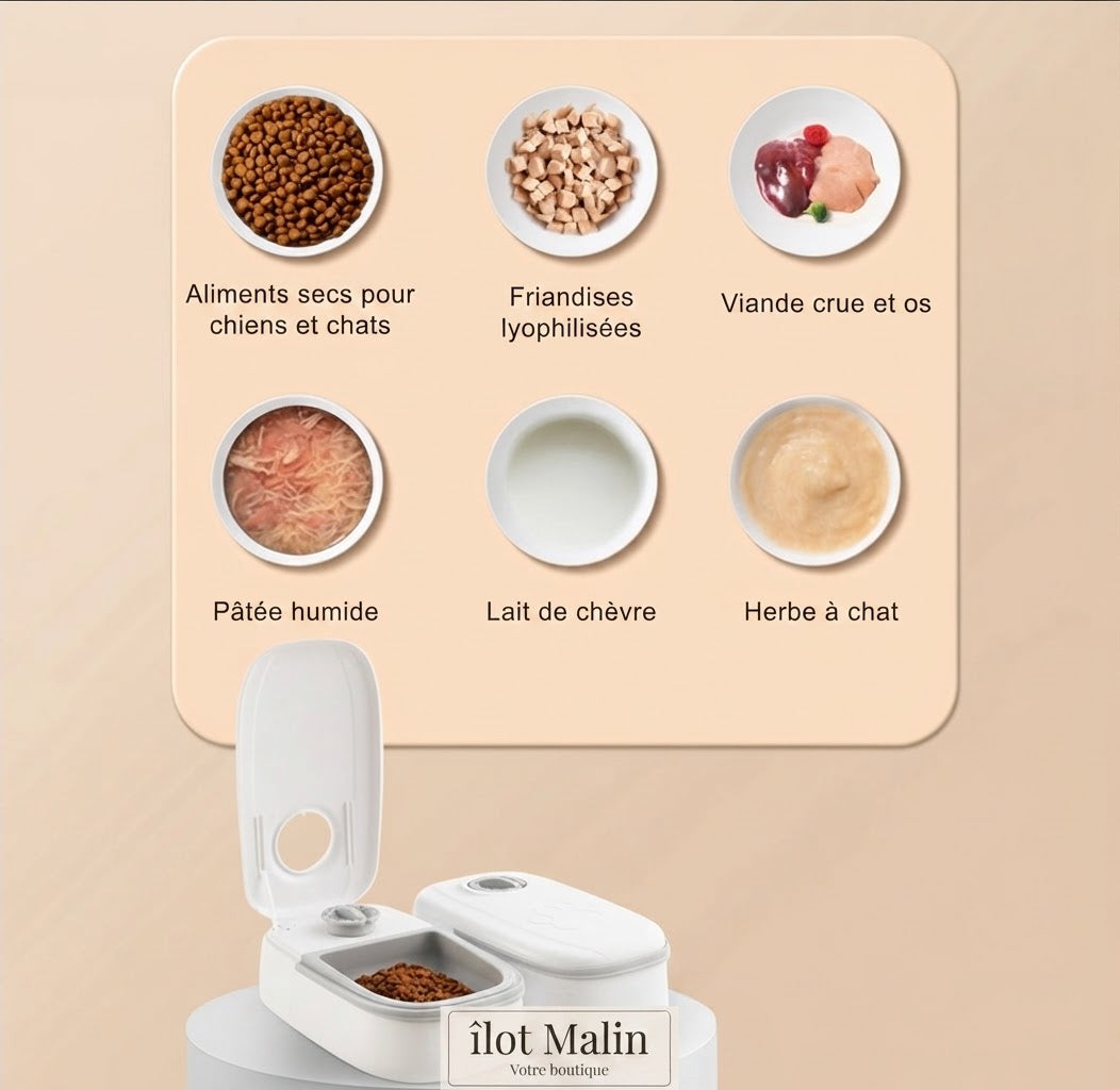 Distributeur automatique de croquettes 2-en-1 pour animal