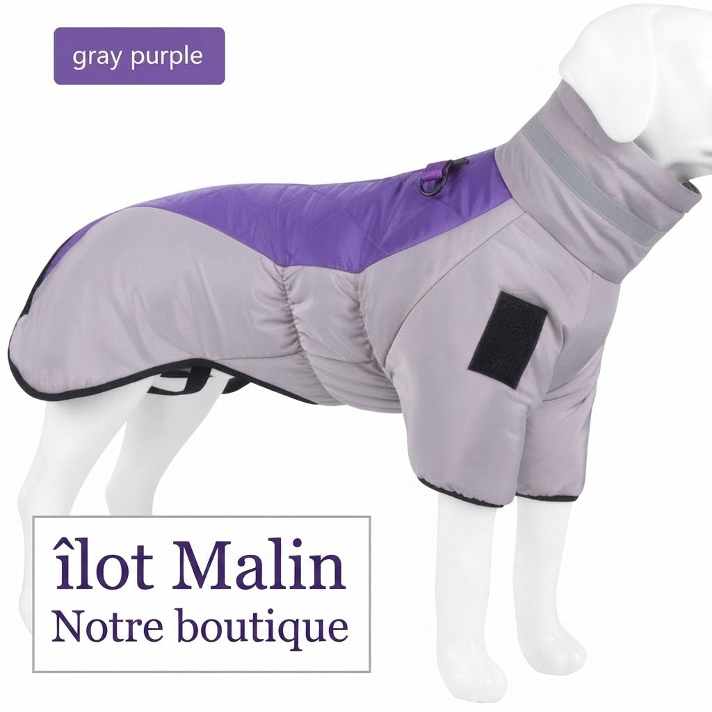 Manteau chaud pour chien 