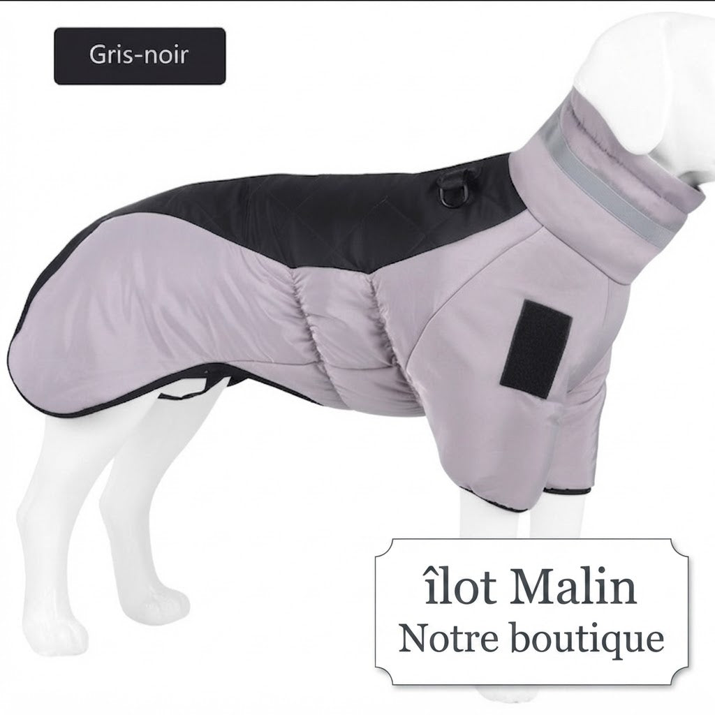 Manteau d'hiver imperméable pour chien - vue de face