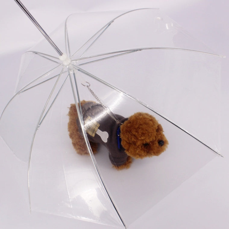 Parapluie transparent pour chien avec laisse intégrée