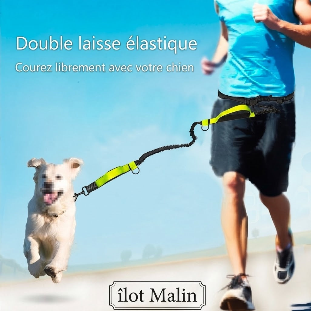 Utilisation de la laisse de running avec un chien